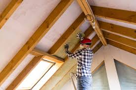 Best Spray Foam Insulation  in Redwood, TX