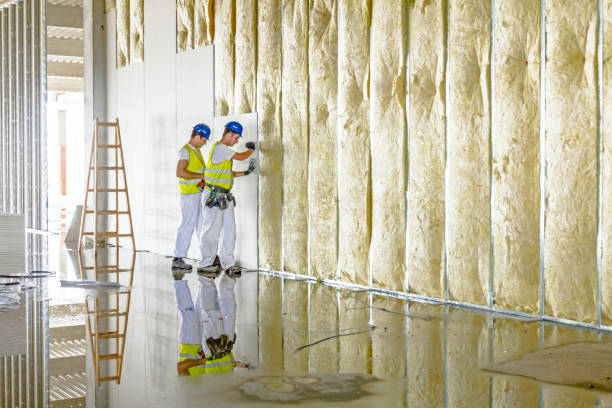 Best Pipe and Duct Insulation  in Redwood, TX