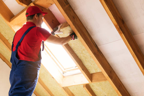 Best Eco-Friendly or Green Insulation Solutions  in Redwood, TX